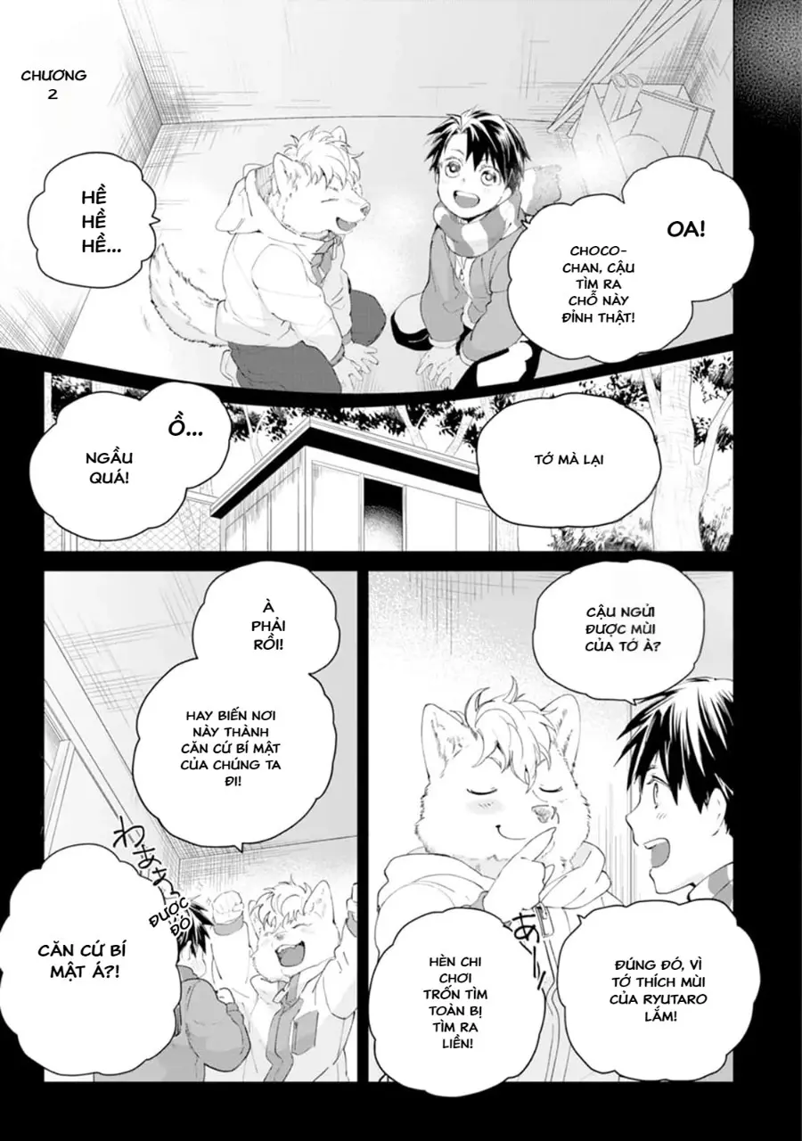 Chocolate Chips & Cookie 2