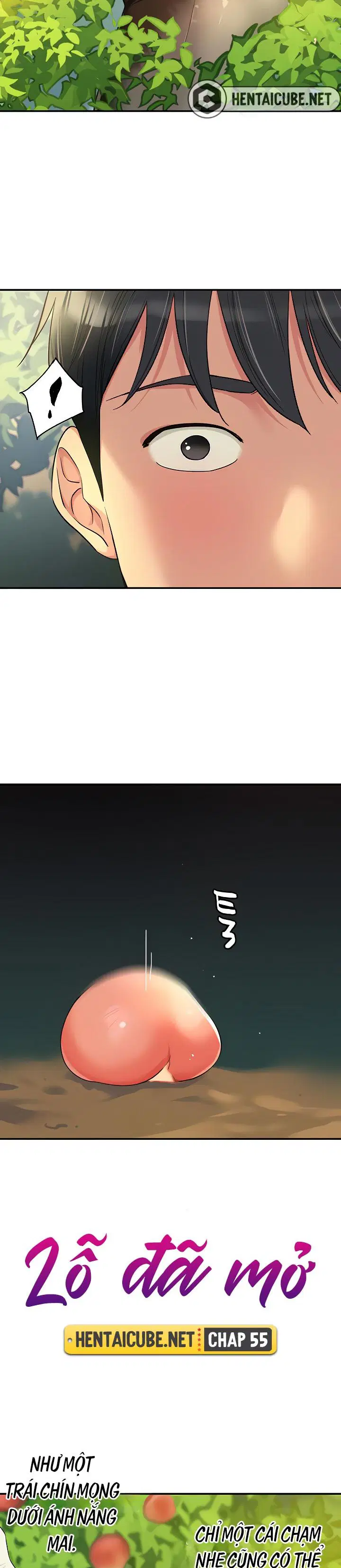 Lỗ đã mở - Ch. 55 trang 12