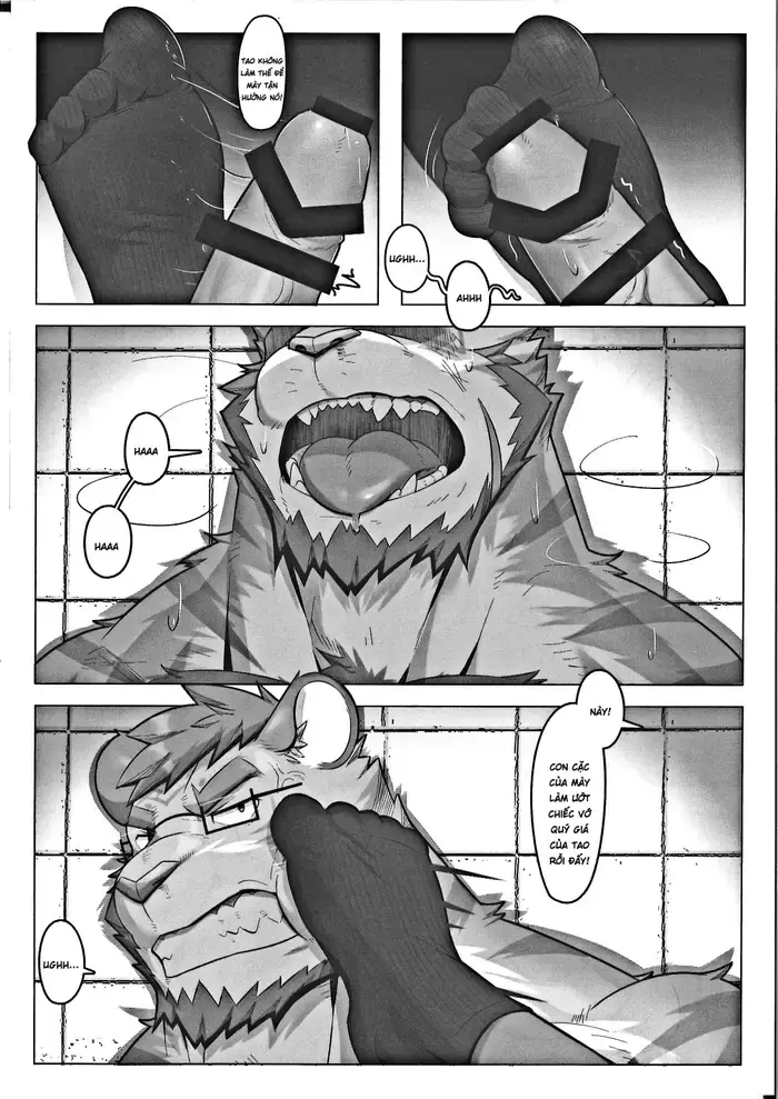 Bokutora 的特别悬赏 2 - Bokutora 的特别悬赏 2 trang 21