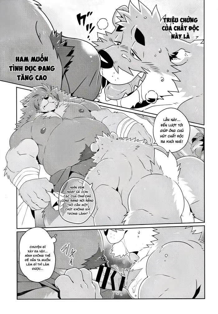 A Bear And A Mysterious Realm - A Bear And A Mysterious Realm trang 15