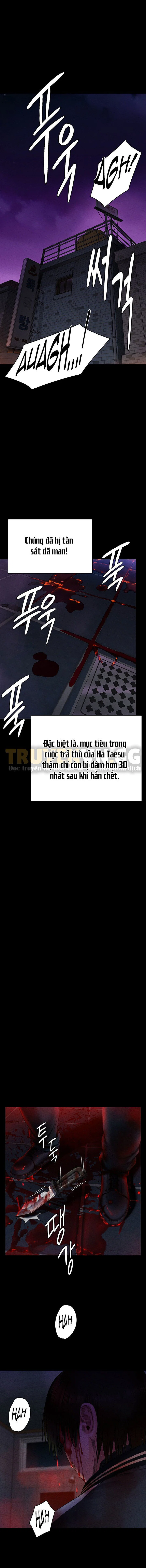 Ong Chúa - Chapter 261 trang 15
