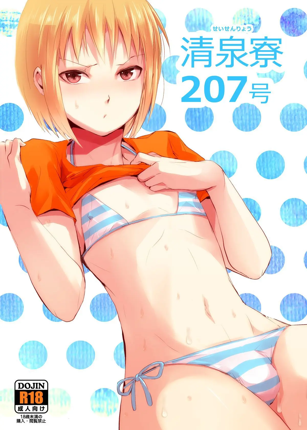 Seisenryou 207 gou 2