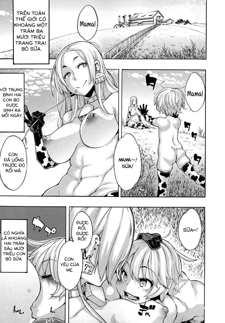 a Nyuugyuu life | a dairy cow's life