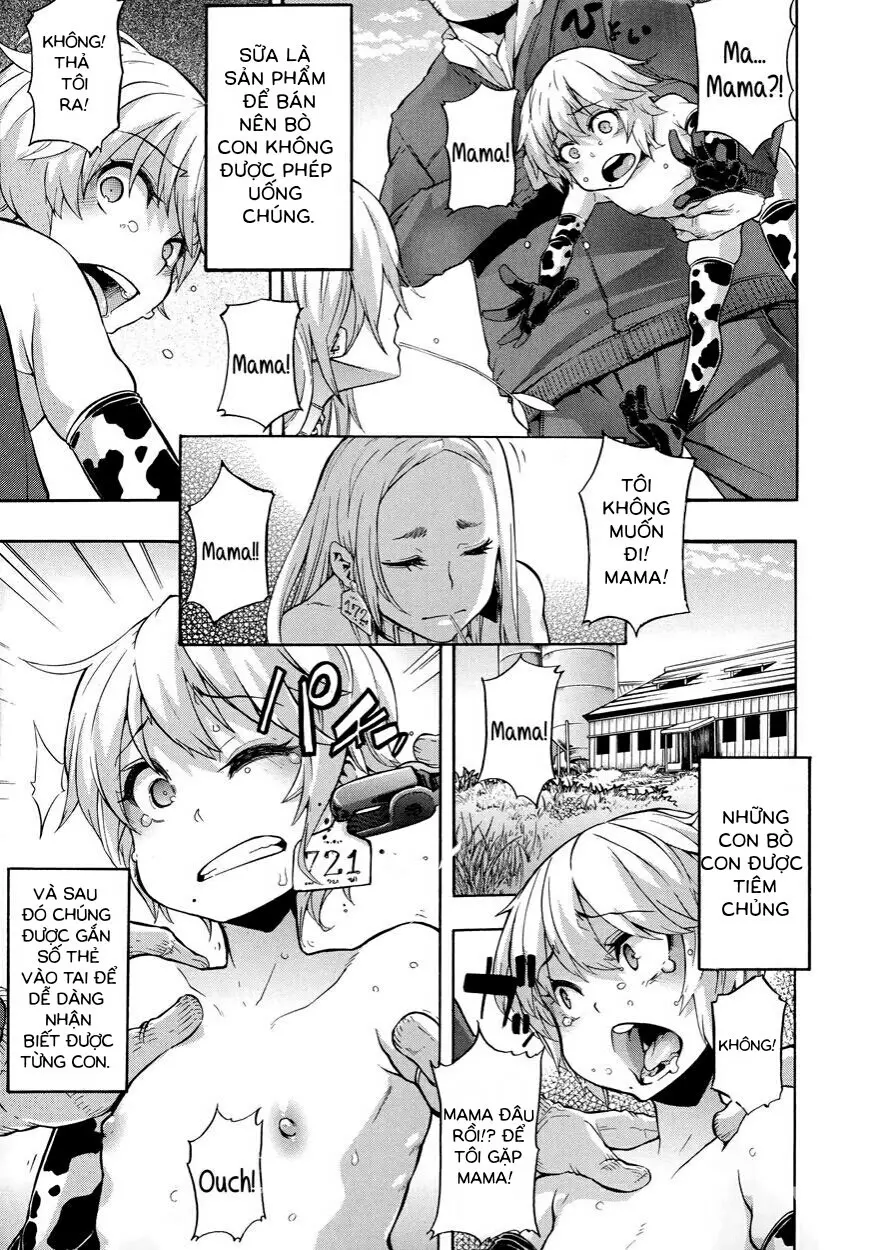 a Nyuugyuu life | a dairy cow's life - a Nyuugyuu life | a dairy cow's life trang 3