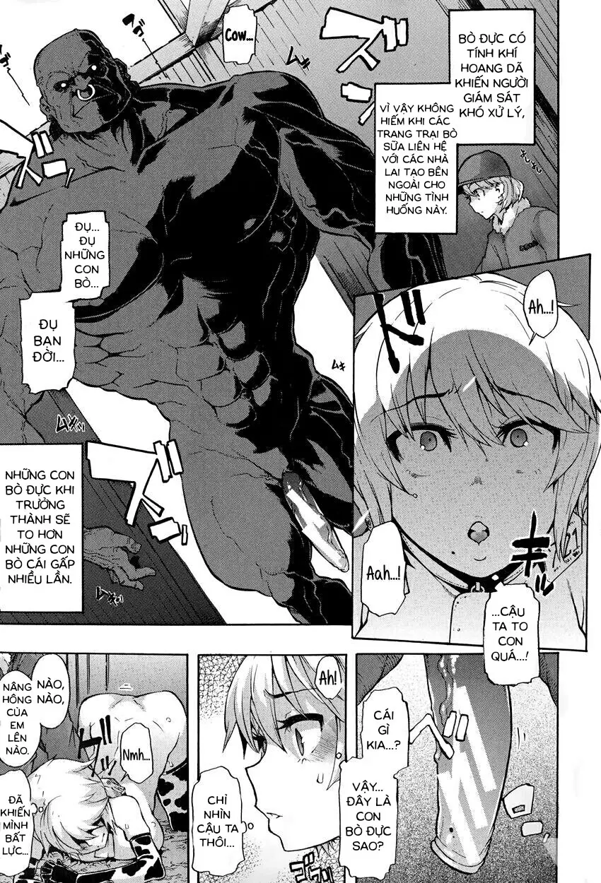 a Nyuugyuu life | a dairy cow's life - a Nyuugyuu life | a dairy cow's life trang 9