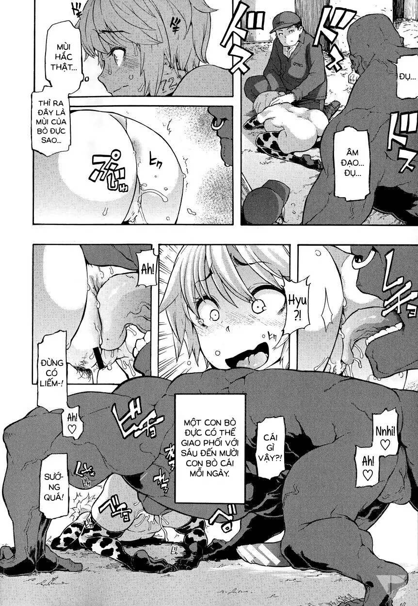 a Nyuugyuu life | a dairy cow's life - a Nyuugyuu life | a dairy cow's life trang 10