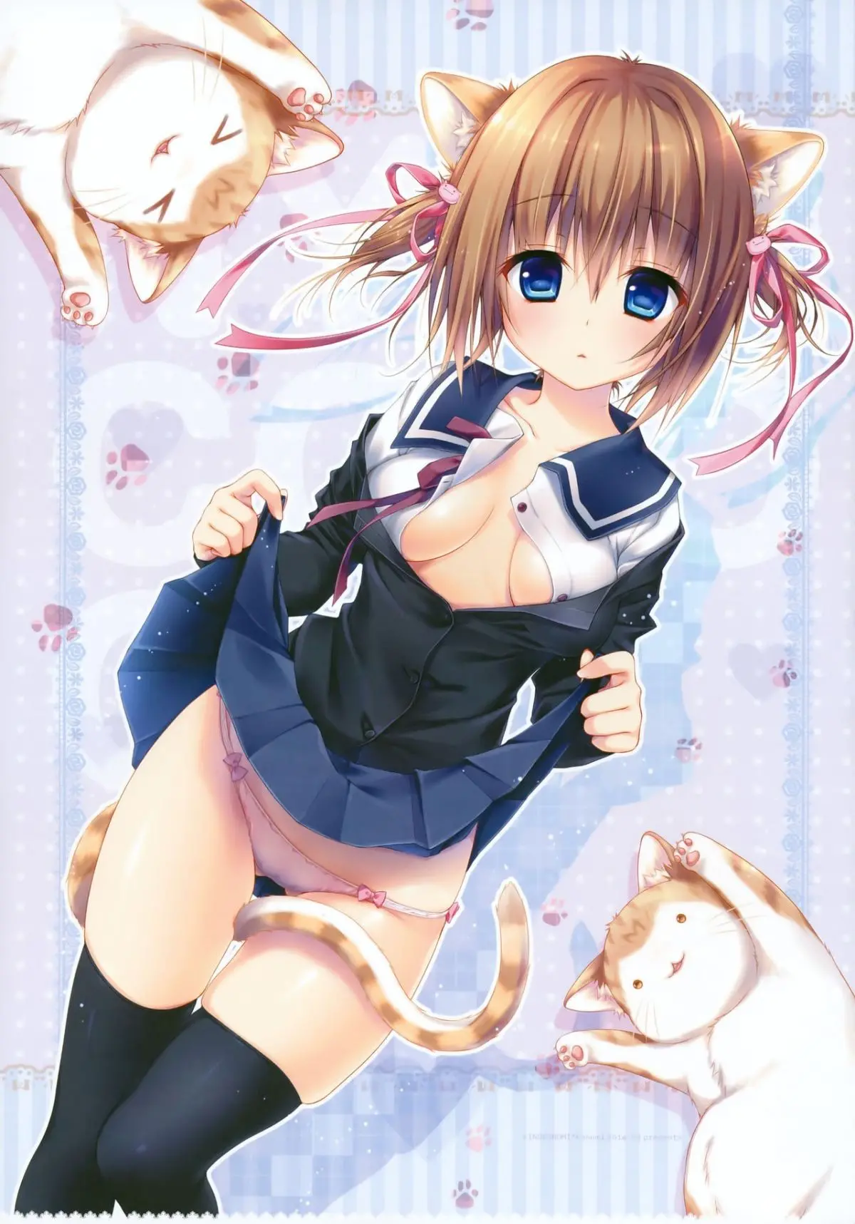 Nyancology 3 -Nekota-san To Houkago kakurenbo- - Nyancology 3 -Nekota-san To Houkago kakurenbo- trang 2