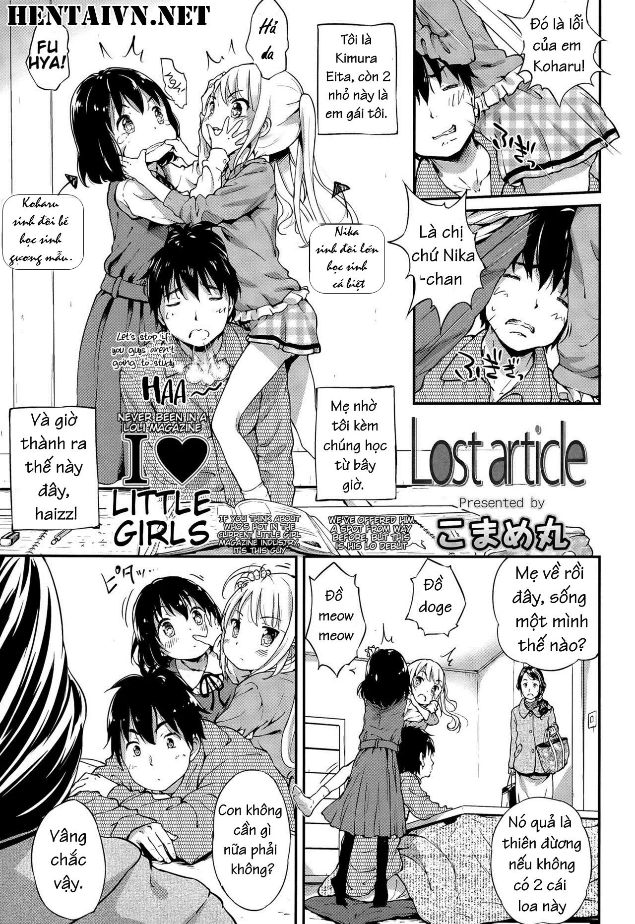 Lost Article