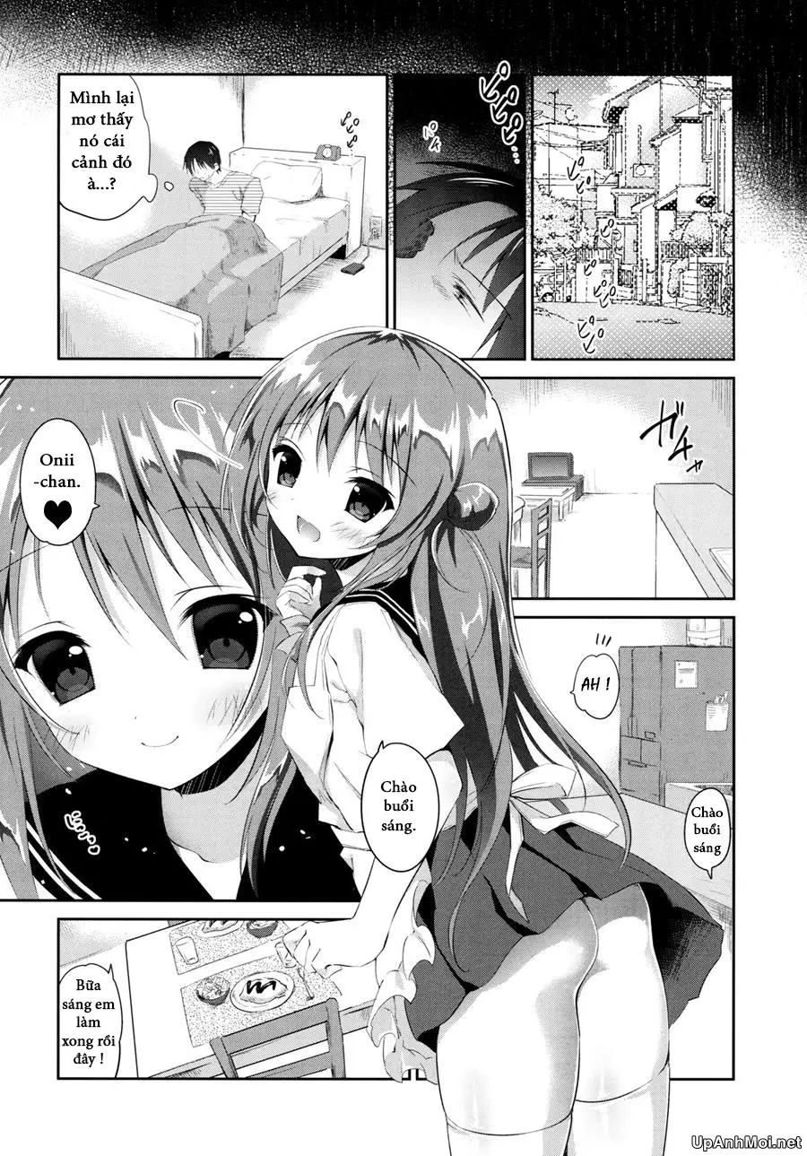 Risou no Imouto 3 - Risou no Imouto 3 trang 24