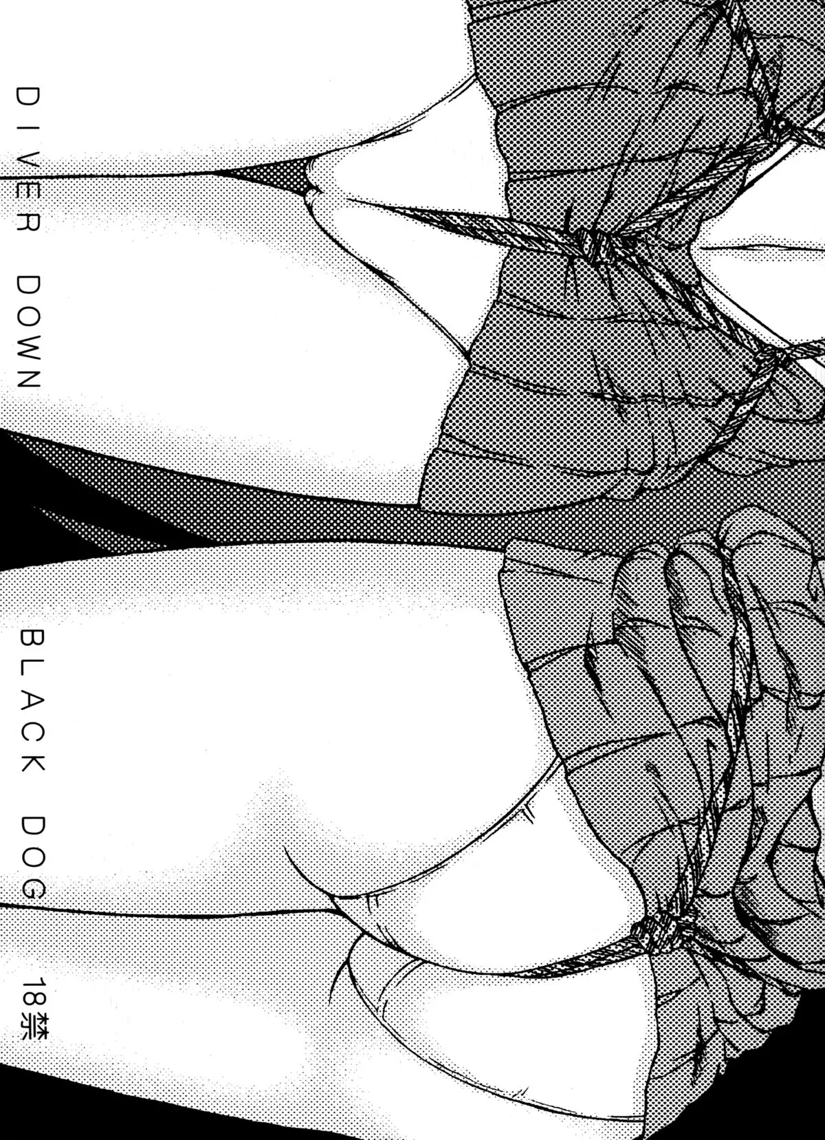 Diver Down - Diver Down trang 17