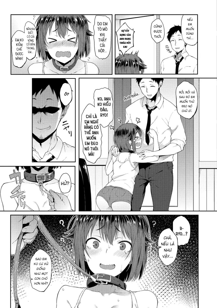 Wonder Collar - Wonder Collar trang 3