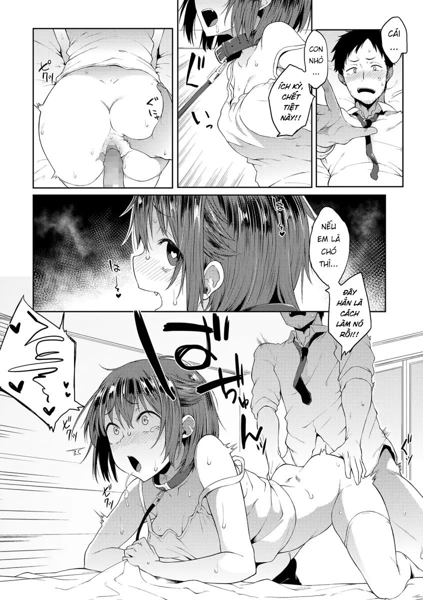 Wonder Collar - Wonder Collar trang 12