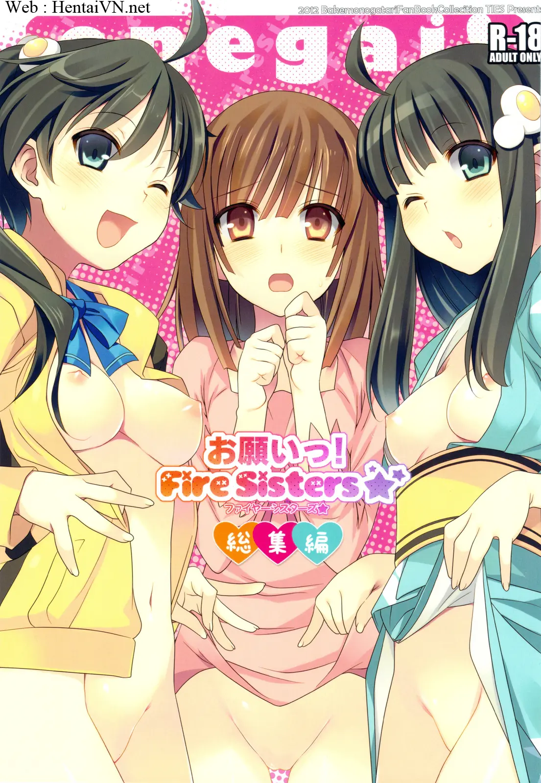Onegai! FireSisters -Soushuuhen- - Onegai! FireSisters -Soushuuhen- trang 2