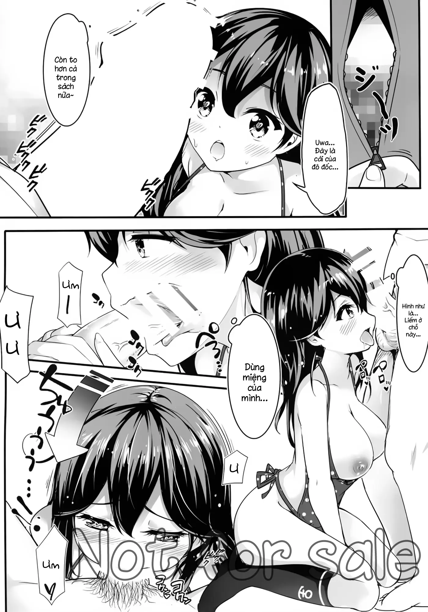 Teitoku no Koto, Oshitai Shiteimasu - Teitoku no Koto, Oshitai Shiteimasu trang 13