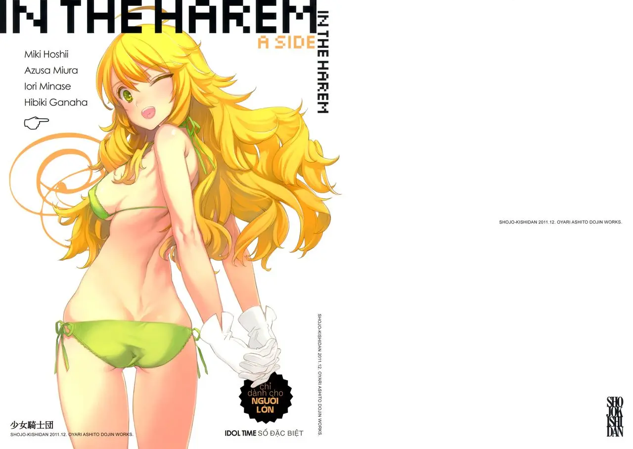 IN THE HAREM A SIDE (decensored)
