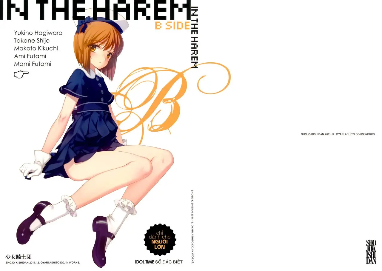 IN THE HAREM B SIDE (decensored)