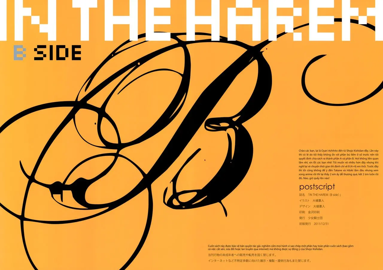 IN THE HAREM B SIDE (decensored) - IN THE HAREM B SIDE (decensored) trang 2
