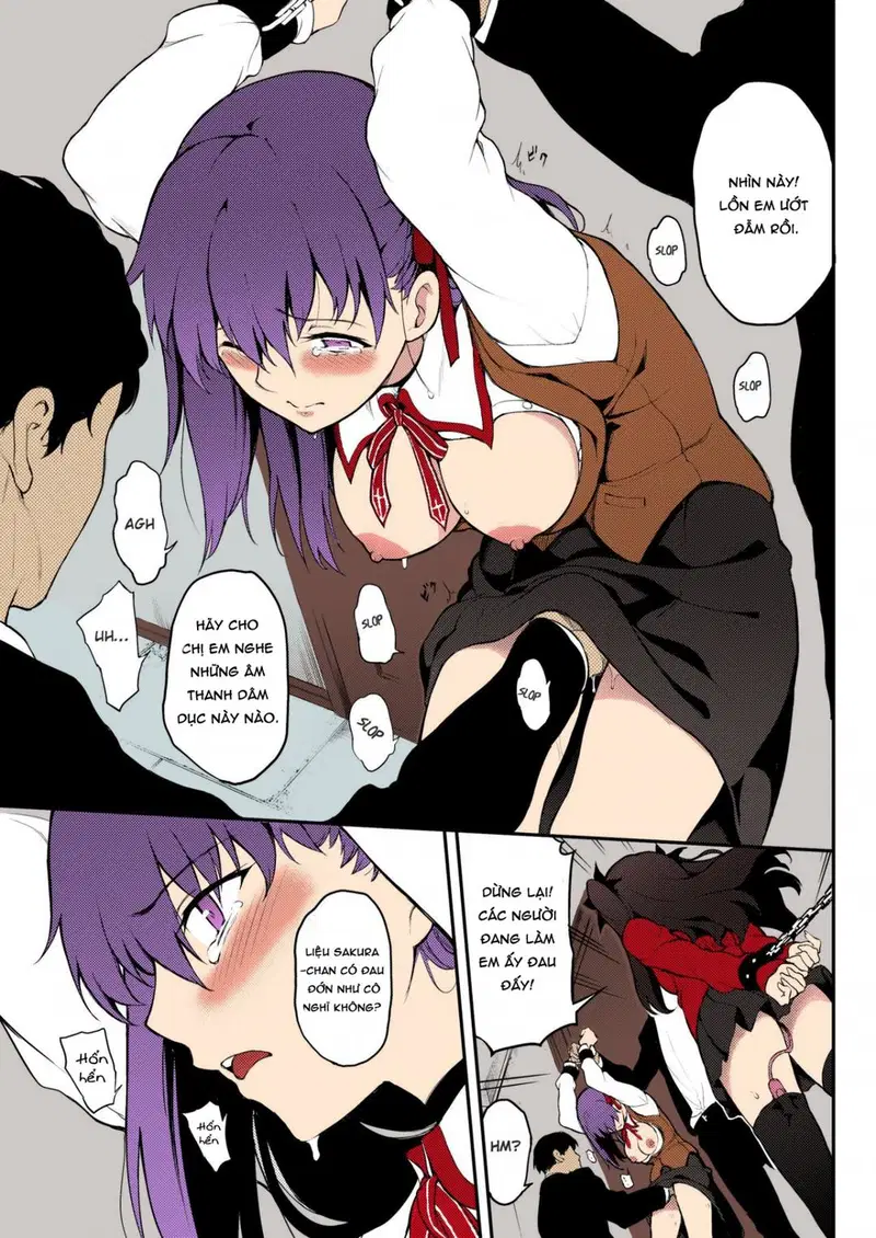 Chị em Tohsaka bị khuất phục - Oneshot trang 13