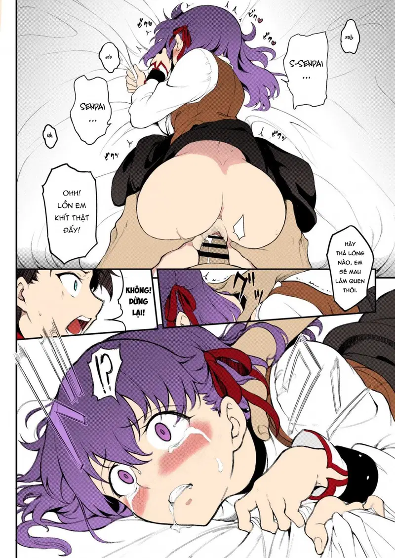 Chị em Tohsaka bị khuất phục - Oneshot trang 16