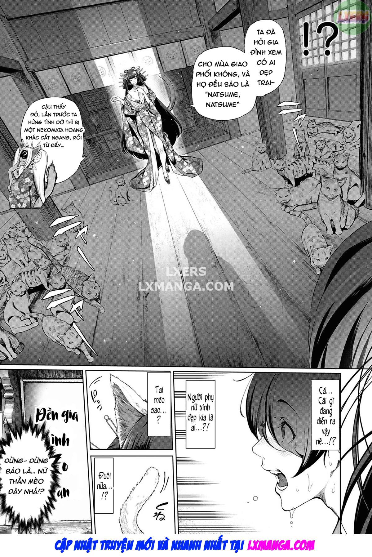 Boy Meets Cat Goddess - Chapter 1 trang 6