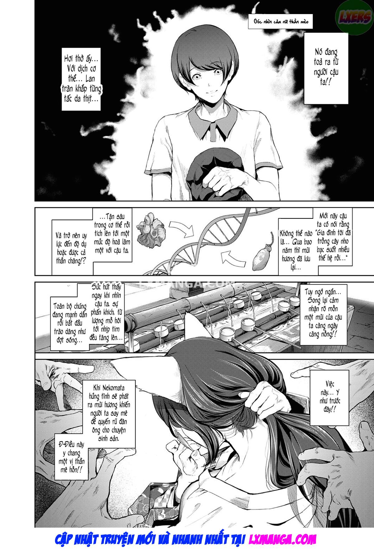 Boy Meets Cat Goddess - Chapter 1 trang 11