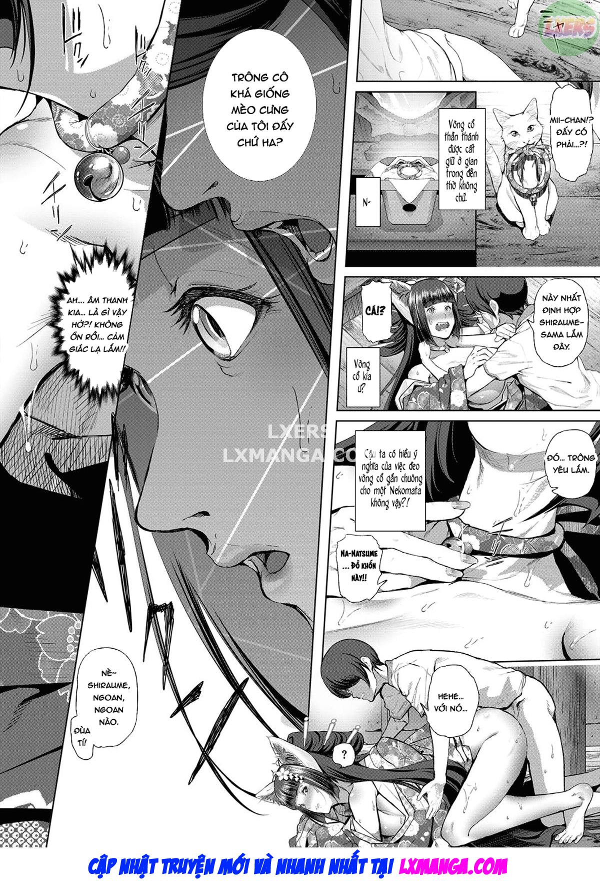 Boy Meets Cat Goddess - Chapter 1 trang 27