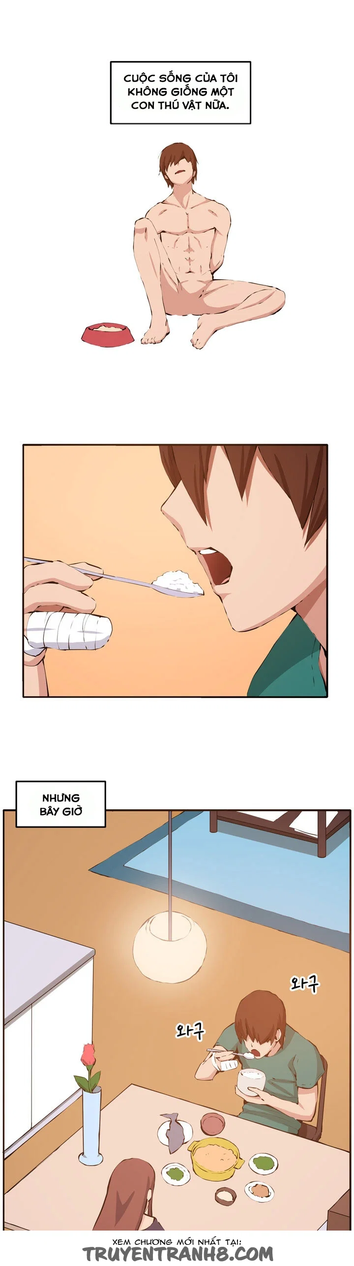 Cạm Bẫy - Venus Mantrap - Chapter 12 trang 22