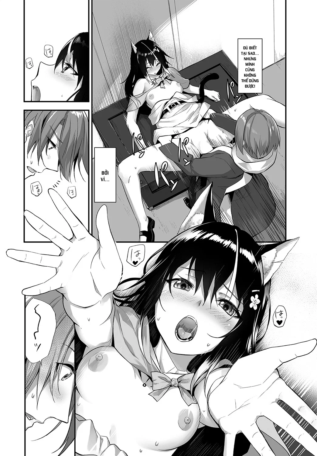 Nô Lệ Tai Mèo - Chapter 13 trang 13