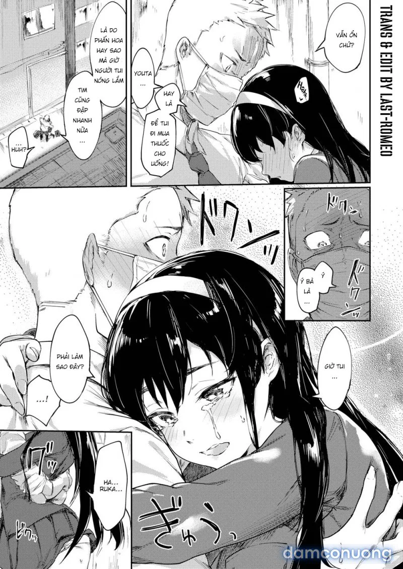 Mùa Phấn Hoa Động Dục - Chapter 1 trang 5