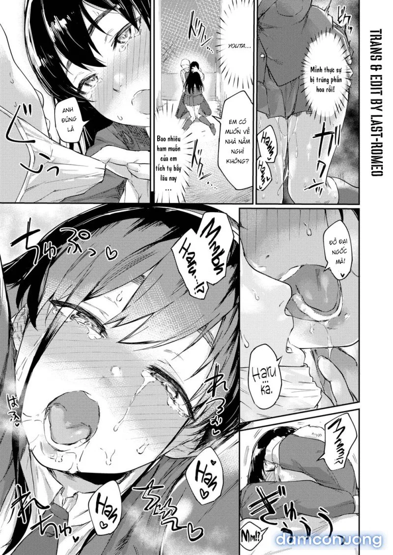 Mùa Phấn Hoa Động Dục - Chapter 1 trang 7
