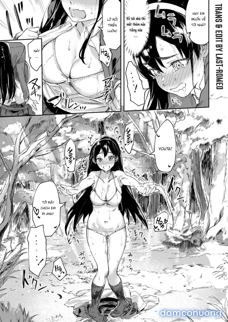 Mùa Phấn Hoa Động Dục - Chapter 1 trang 11