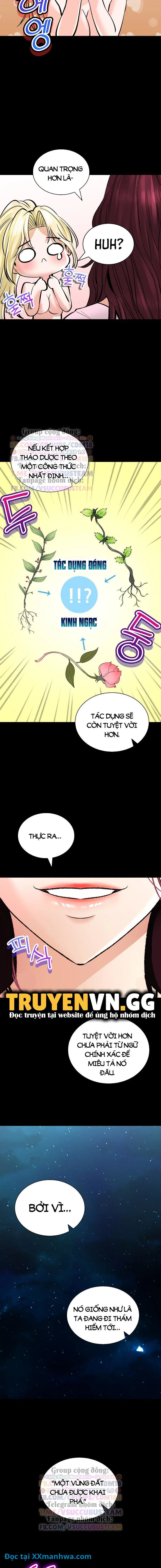 Thảo mộc tình ái - Chapter 43 trang 14