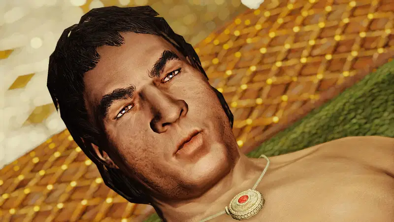 Elenwen, Emissary of Thalmor - Chapter 1 trang 42