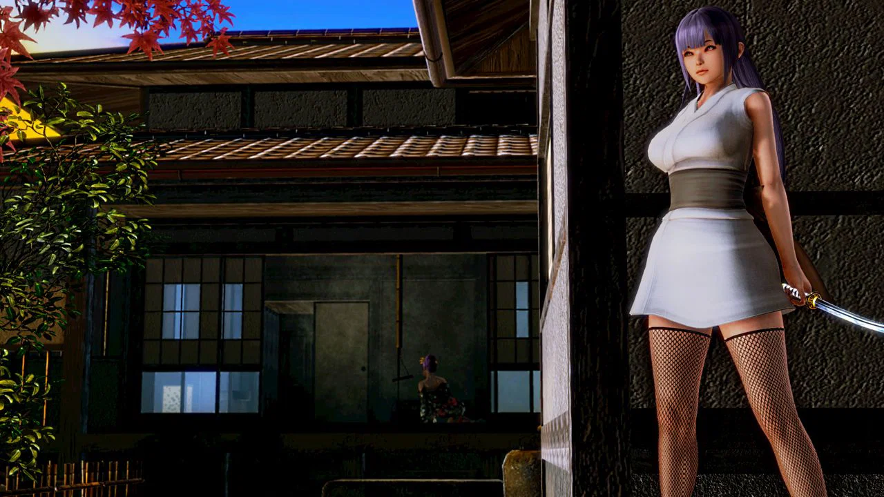 The Mistress and the Kunoichi - Oneshot trang 2