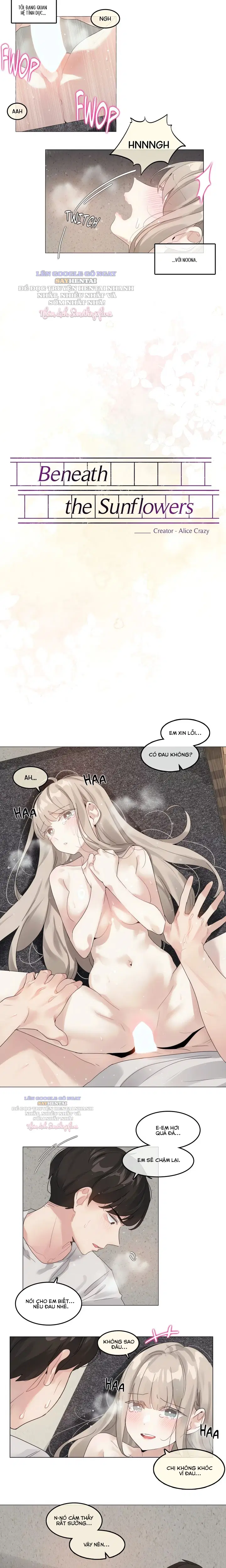 Mùa Hướng Dương Thầm Thì - Chapter 11 trang 2