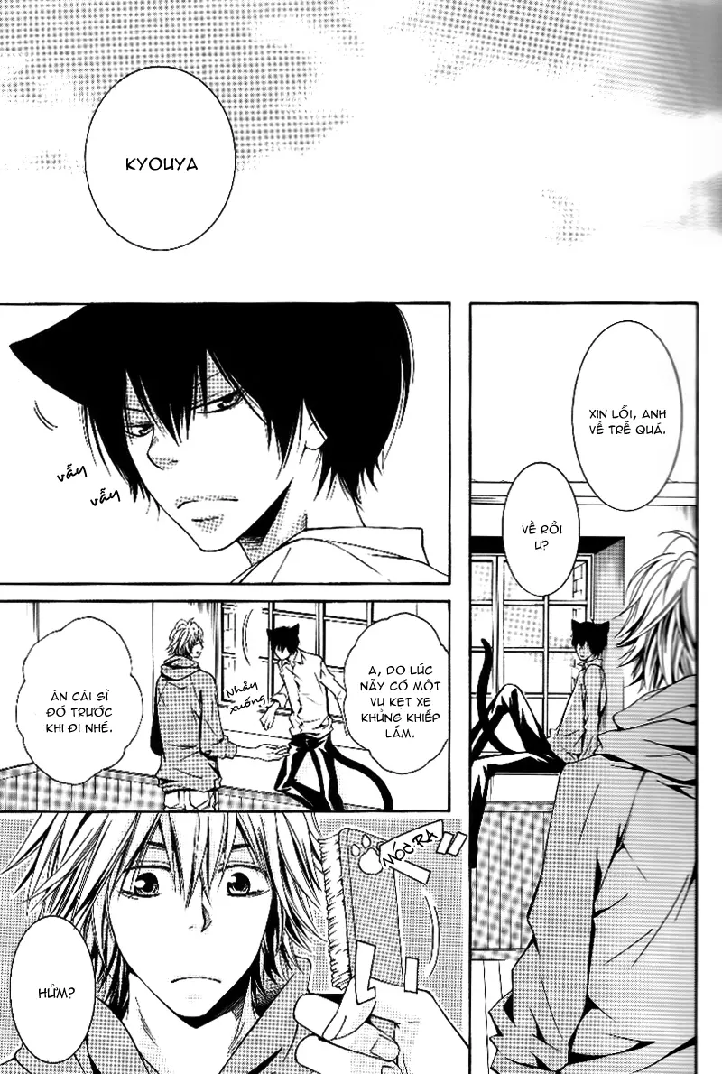KHR Doujinshi - Cat Navigate