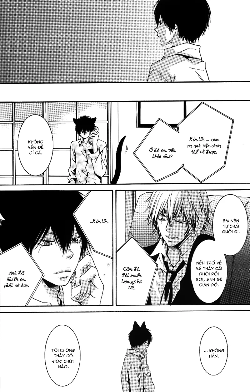 KHR Doujinshi - Cat Navigate - KHR Doujinshi - Cat Navigate trang 8