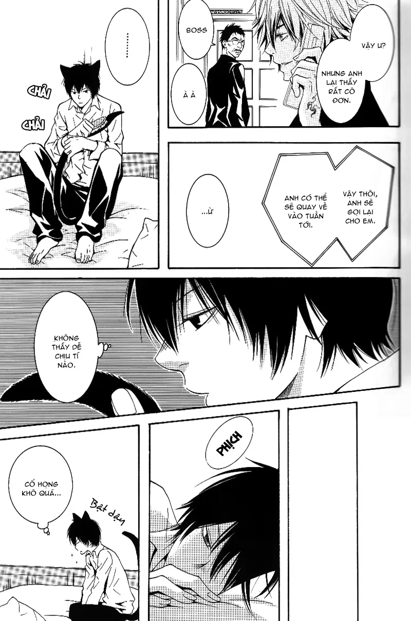 KHR Doujinshi - Cat Navigate - KHR Doujinshi - Cat Navigate trang 9