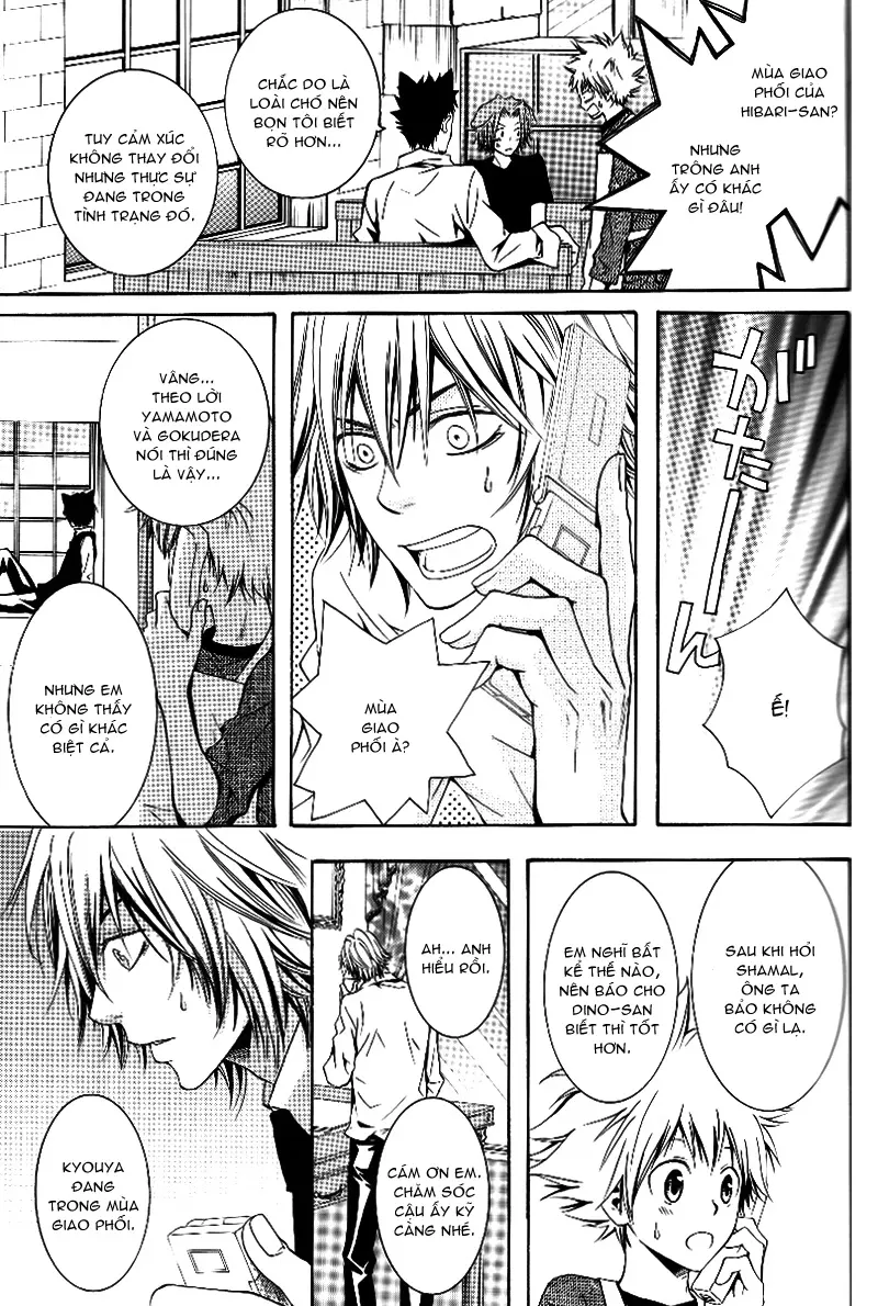 KHR Doujinshi - Cat Navigate - KHR Doujinshi - Cat Navigate trang 11