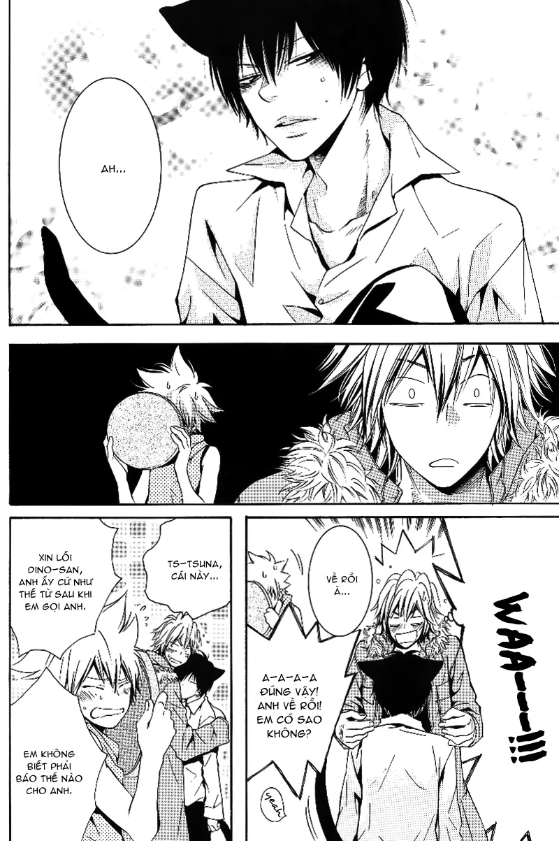 KHR Doujinshi - Cat Navigate - KHR Doujinshi - Cat Navigate trang 14