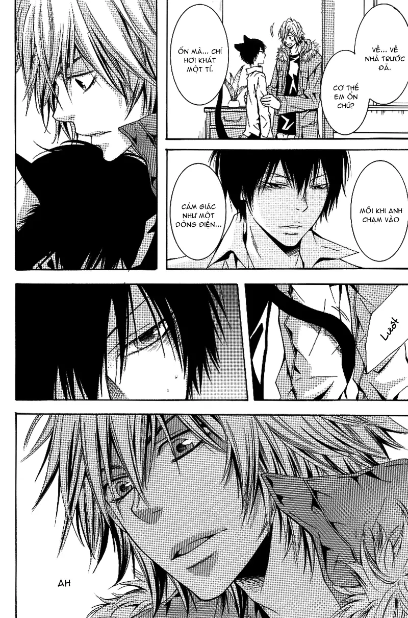 KHR Doujinshi - Cat Navigate - KHR Doujinshi - Cat Navigate trang 16