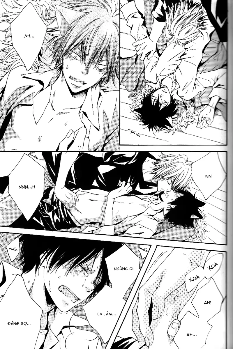 KHR Doujinshi - Cat Navigate - KHR Doujinshi - Cat Navigate trang 19