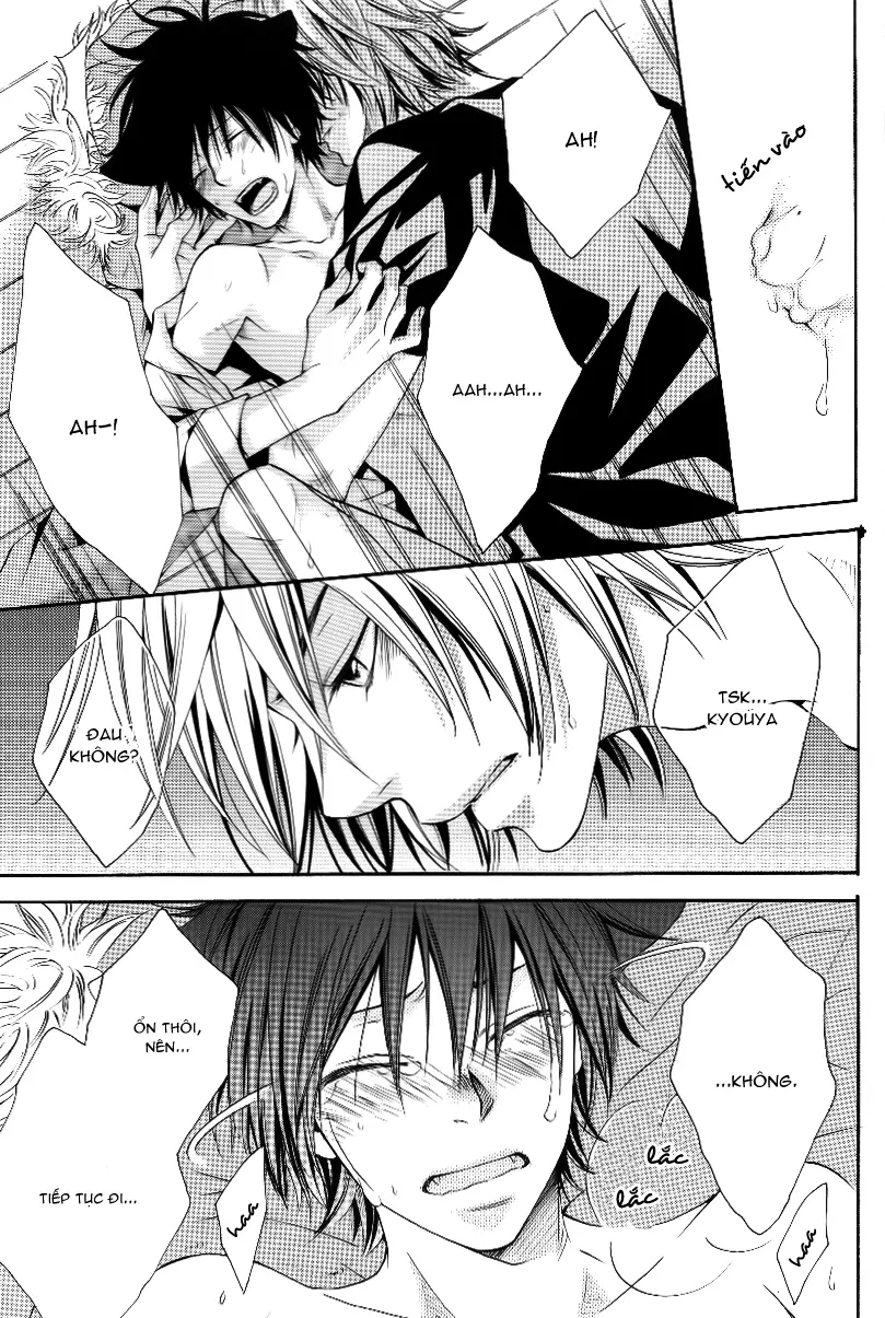 KHR Doujinshi - Cat Navigate - KHR Doujinshi - Cat Navigate trang 21