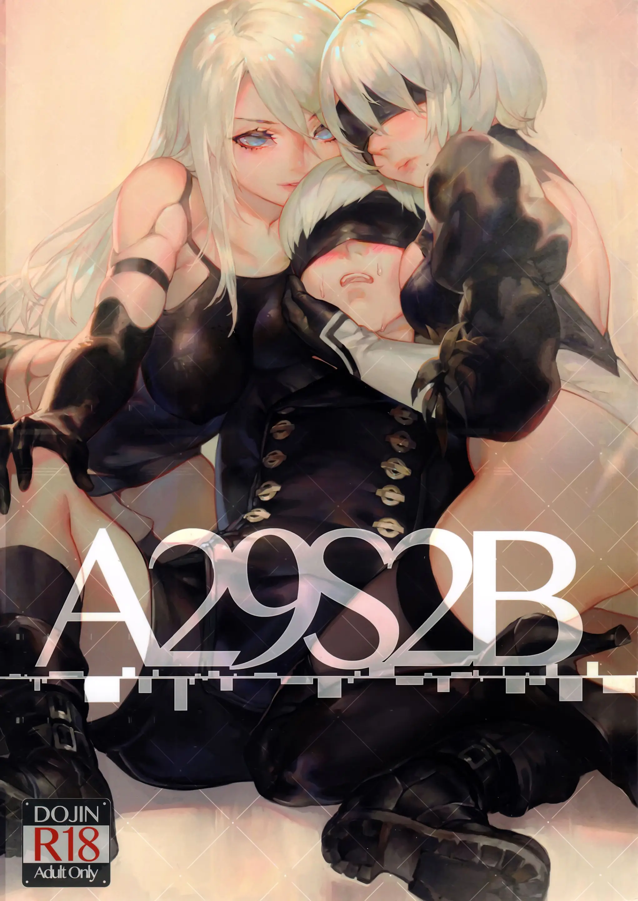 artist:aoin