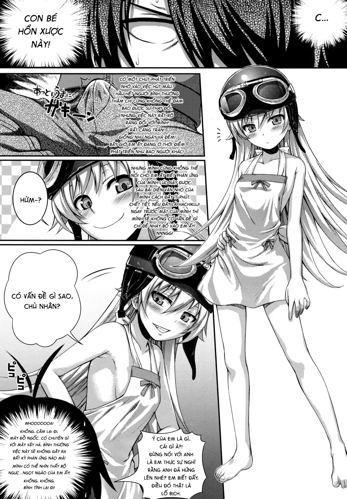 SAKKN Shinobu no Araragi Koyomi Kansatsu Nikki - SAKKN Shinobu no Araragi Koyomi Kansatsu Nikki trang 18