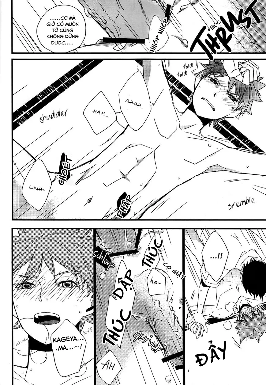 Kotowaru Riyuu wa Nai Daro? | You've Got No Reason to Refuse, Right? - Kotowaru Riyuu wa Nai Daro? | You've Got No Reason to Refuse, Right? trang 17