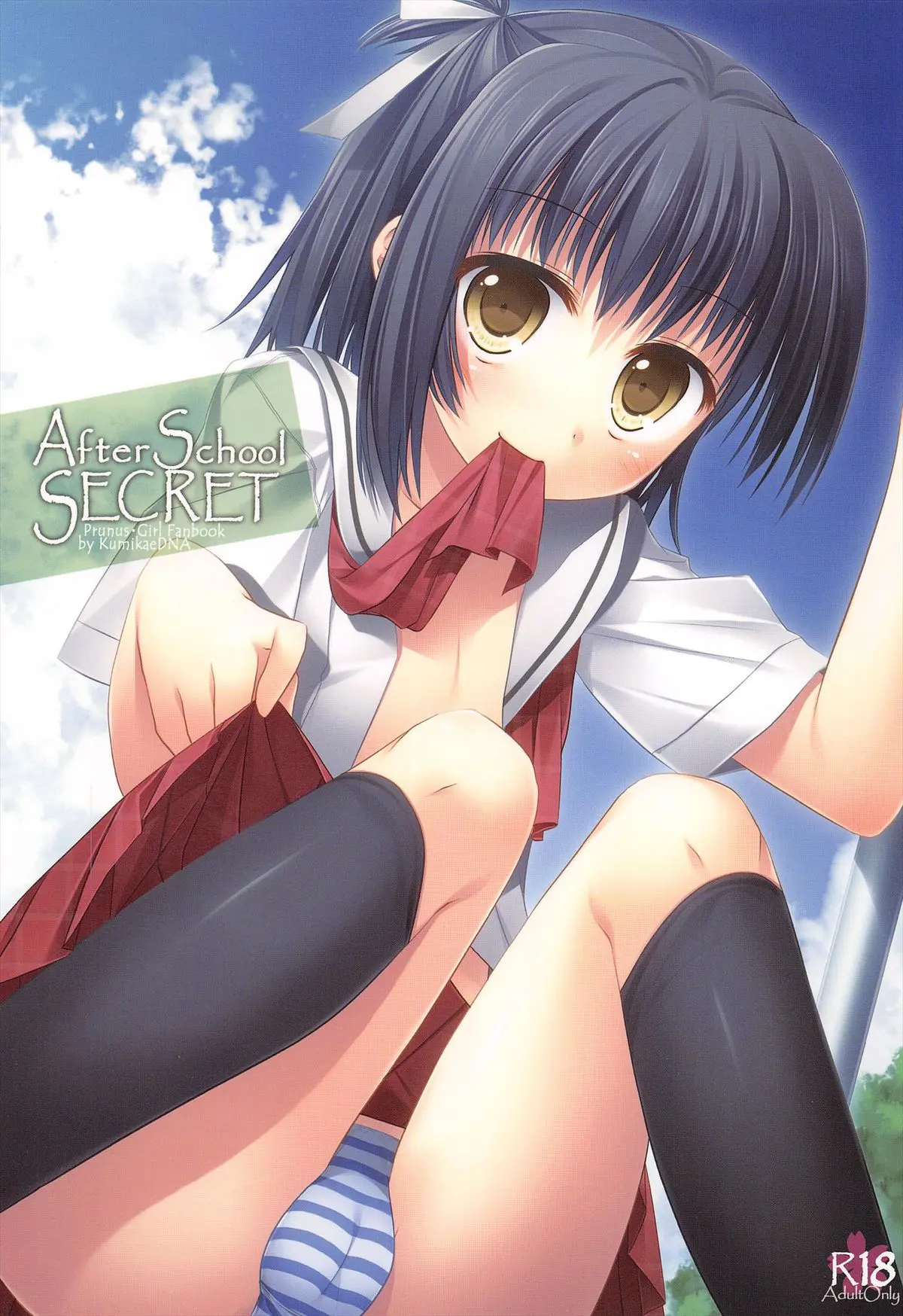 shotaket 15