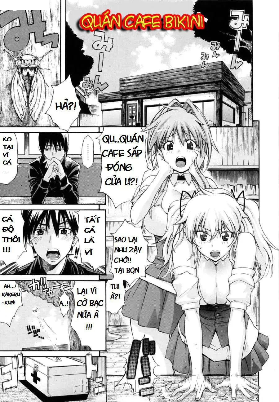 Nagisa Concerto | Bikini Cafe