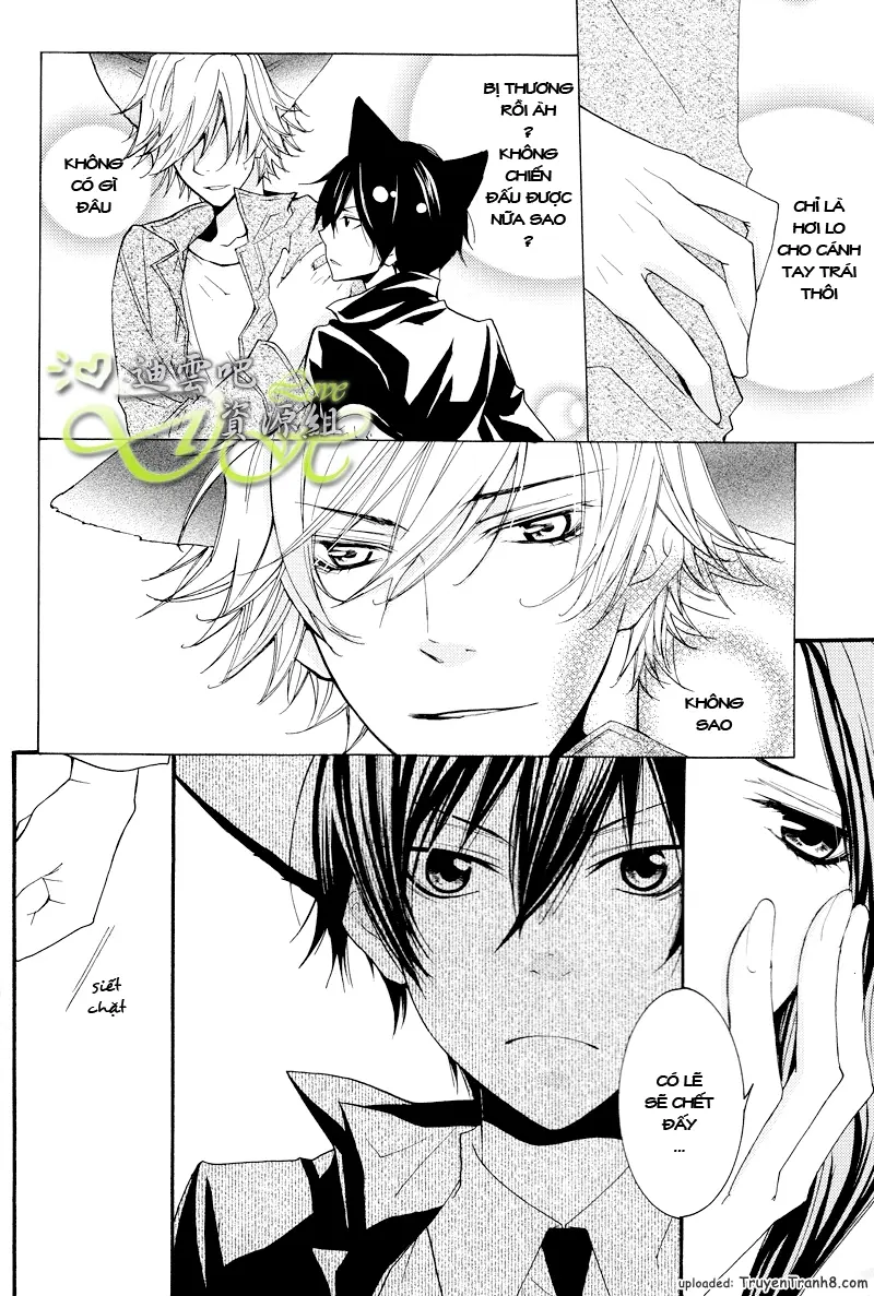 KHR Doujinshi - Il Lupo E L'agnello 2 - KHR Doujinshi - Il Lupo E L'agnello 2 trang 4