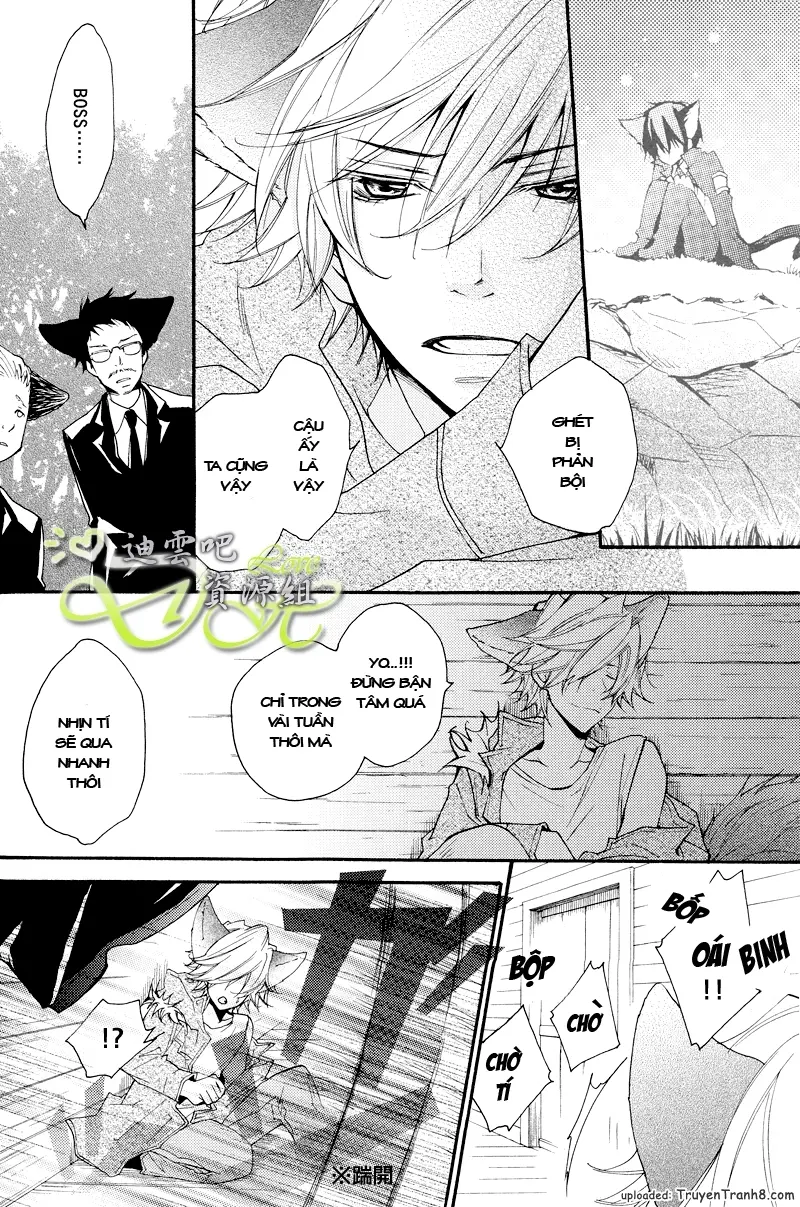 KHR Doujinshi - Il Lupo E L'agnello 2 - KHR Doujinshi - Il Lupo E L'agnello 2 trang 8